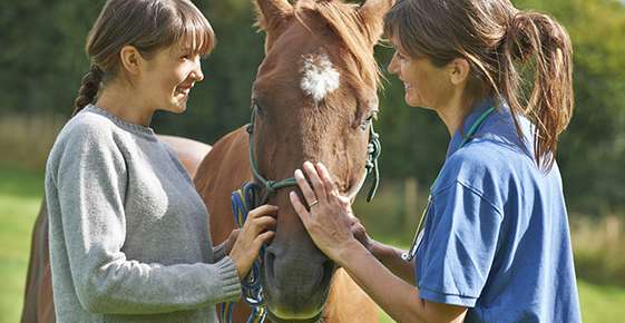 Image for Horse Health Article