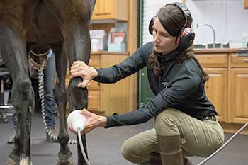 Shock Wave Therapy For Equine Back Pain - Mid-Rivers Equine Centre